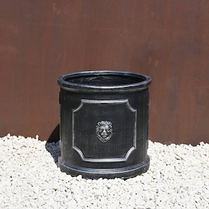 May include: Black round planter with a silver lion head design. The planter is sitting on a bed of white gravel.