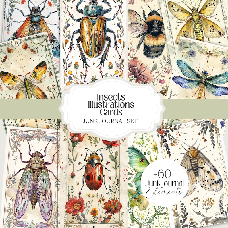 Witches Insects Insects Witchy Illustrations Cards Set Png for Digital Grimoire, Book ...