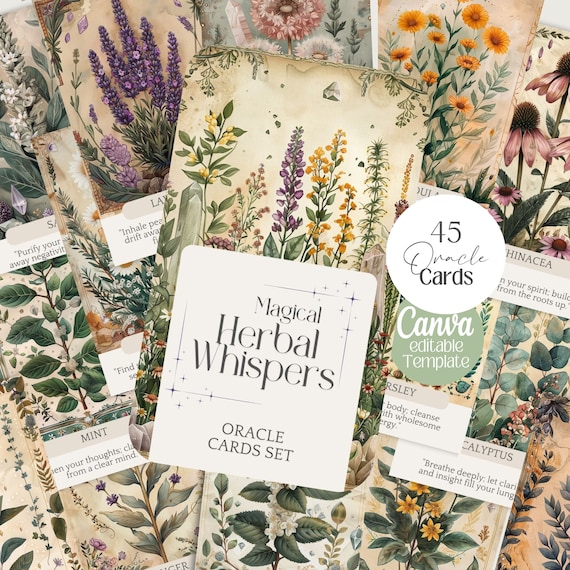 oracle cards 9セット 81Yt3UoFztL._AC_UF350,