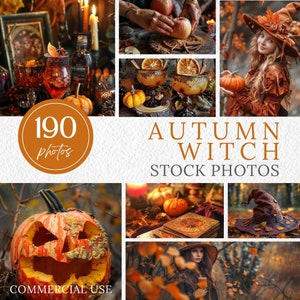 Witchy Stock Photo Samhain  Lifestyle photography Autumn Aesthetic Fall Cozy social media instagram photo fall image instagram feed content