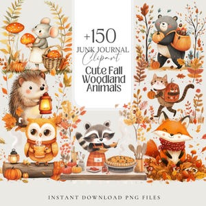 Fall Cute Animal Clipart PNG Autumn cozy Nursery Art Fall Sticker journal Autumn clip art Harvest Fussy Cut Scrapbook fall Sublimation junk