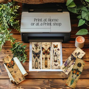 Collection of 28 Vintage Moth Specimen Celtic Botanical Witchy Apothecary PNG images with a 1:3 ratio. Perfect for bookmarks, tags, labels, junk journals, grimoire bookmarks, scrapbooking, illustrations, clipart, sublimation, stickers, and ephemera
