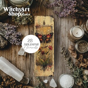 Collection of 28 Vintage Moth Specimen Celtic Botanical Witchy Apothecary PNG images with a 1:3 ratio. Perfect for bookmarks, tags, labels, junk journals, grimoire bookmarks, scrapbooking, illustrations, clipart, sublimation, stickers, and ephemera
