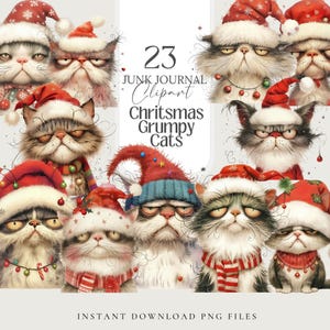 Chat de Noël chat grincheux drôle Noël Clipart PNG chat de Noël Sticker chat moche clip art amoureux des chats Noël Scrapbook chat coupe difficile Sublimation