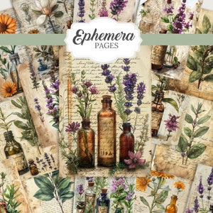 May include: A collection of vintage-style ephemera pages featuring botanical illustrations and handwritten script. The pages showcase images of lavender, flowers, and apothecary bottles in shades of brown, purple, and green. The text "Ephemera PAGES" is displayed in a white oval.
