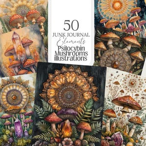 Psilocybine png Paddo's psychedelisch, mandala's, paddo's, trippy, kaarten, poster, ansichtkaart, Junk Journal, spiritueel, commercieel gebruik