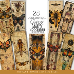 Collection of 28 Vintage Moth Specimen Celtic Botanical Witchy Apothecary PNG images with a 1:3 ratio. Perfect for bookmarks, tags, labels, junk journals, grimoire bookmarks, scrapbooking, illustrations, clipart, sublimation, stickers, and ephemera