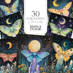 Papillon de nuit et cristaux PNG sorcière lune grimoire magique couverture papillon illustration carte sorcière art mural éphémères scrapbook mite livre des ombres