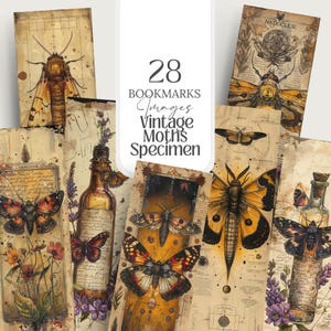 Collection of 28 Vintage Moth Specimen Celtic Botanical Witchy Apothecary PNG images with a 1:3 ratio. Perfect for bookmarks, tags, labels, junk journals, grimoire bookmarks, scrapbooking, illustrations, clipart, sublimation, stickers, and ephemera