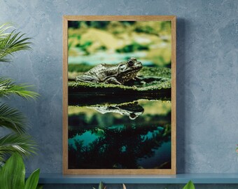 Vancouver Frog Photo Print – Pacific Northwest Wildlife (Digital Download)