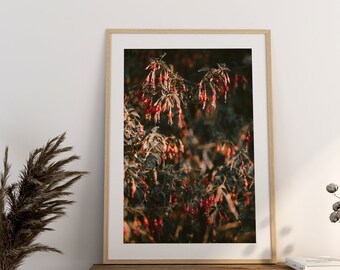 Fuchsia bloemenprint, natuurbloemmuurkunst, digitale fotoprint, afdrukbare fotografie, woondecoratie, Instant Download