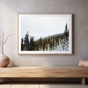 Forest Explore, Banff Art, Alberta Print, Canada Wall Art, Digital Photo Print, Printable Photography, Home Décor, Instant Download