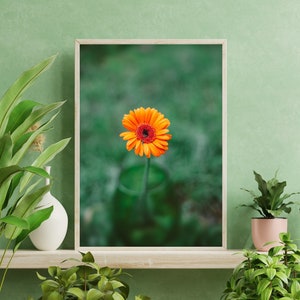 Blooming Orange Flower, Plant Décor, Flower Nature Wall Art, Digital Photo Print, Printable Photography, Home Décor, Instant Download