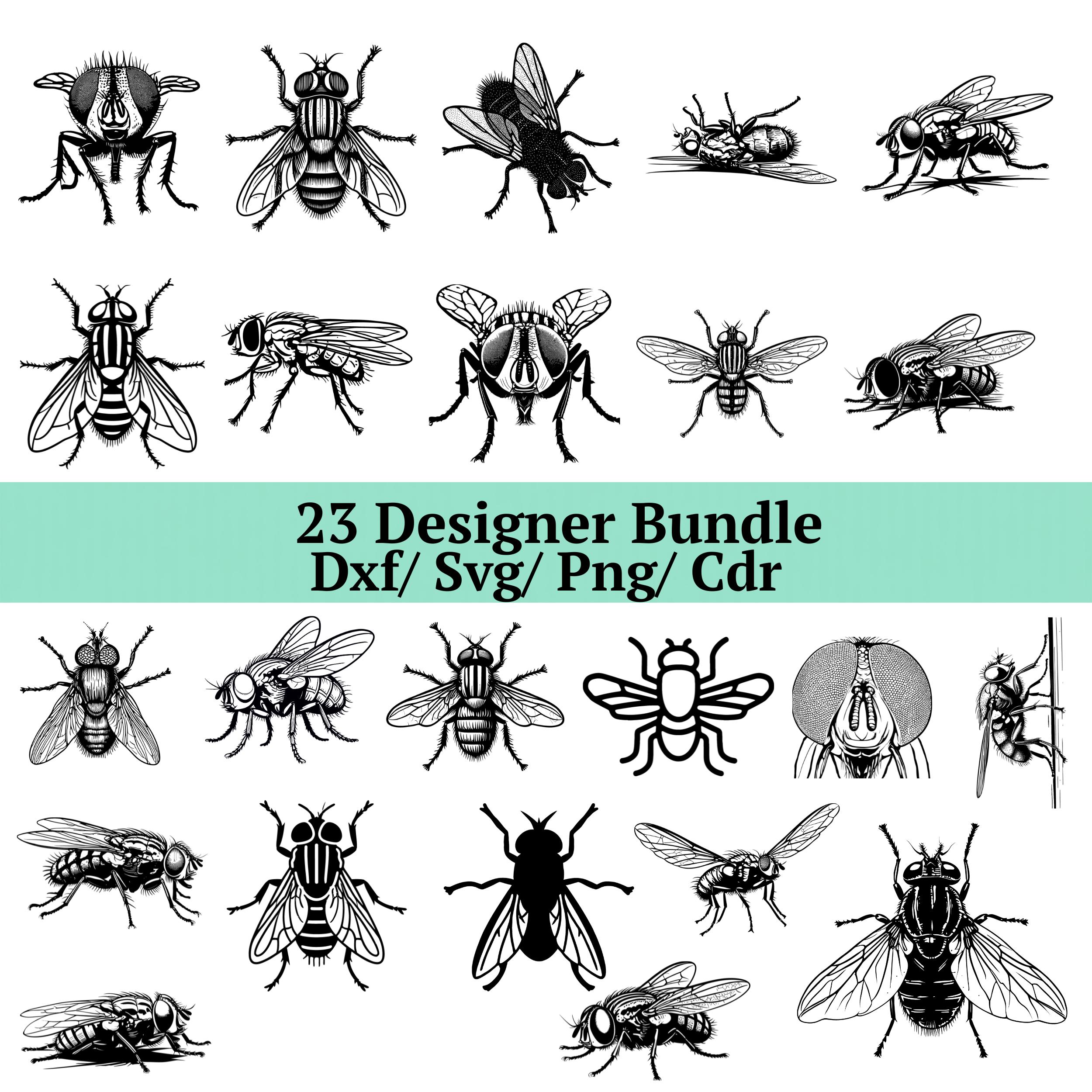 Fly Svg Fly Insect SVG Bundle, Housefly Clipart Svg, Png, Dxf, Cdr Files - Etsy