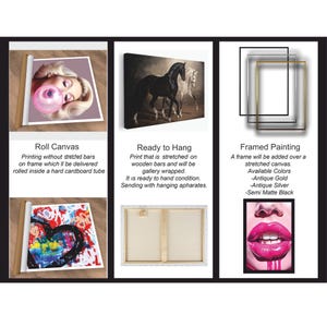 An informational chart detailing three canvas product options: roll canvas, ready to hang, and framed painting.