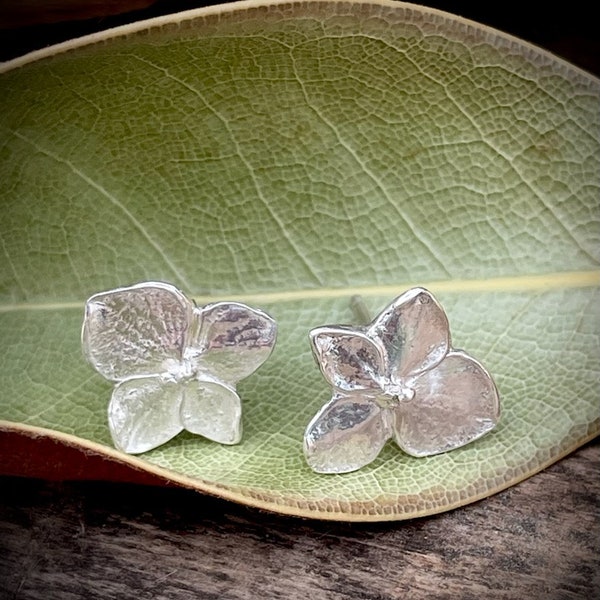 925 Silver Studs  *  Hydrangea Earrings  *  Lost Wax Casting of Real Flower