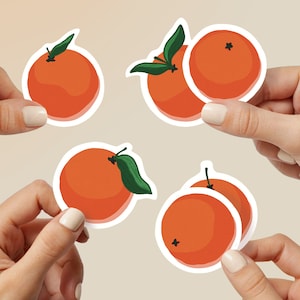 Orangen Sticker 6er Set | Laptopaufkleber | Aufkleber | Etiketten | Journaling | Notizen | Basteln | Dekorieren | Geschenk