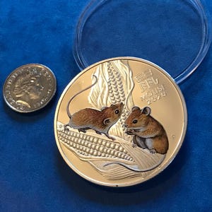 La moneta d'argento dell'Anno del Topo è contenuta in una custodia protettiva in plastica. La moneta è placcata in argento. La regina Elisabetta II australiana