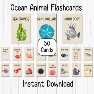 Ozeantiere Karteikarten - Lernkarten für Kinder | Memory Memory Spiel | Sofortiger Download PDF für Vorschullernen