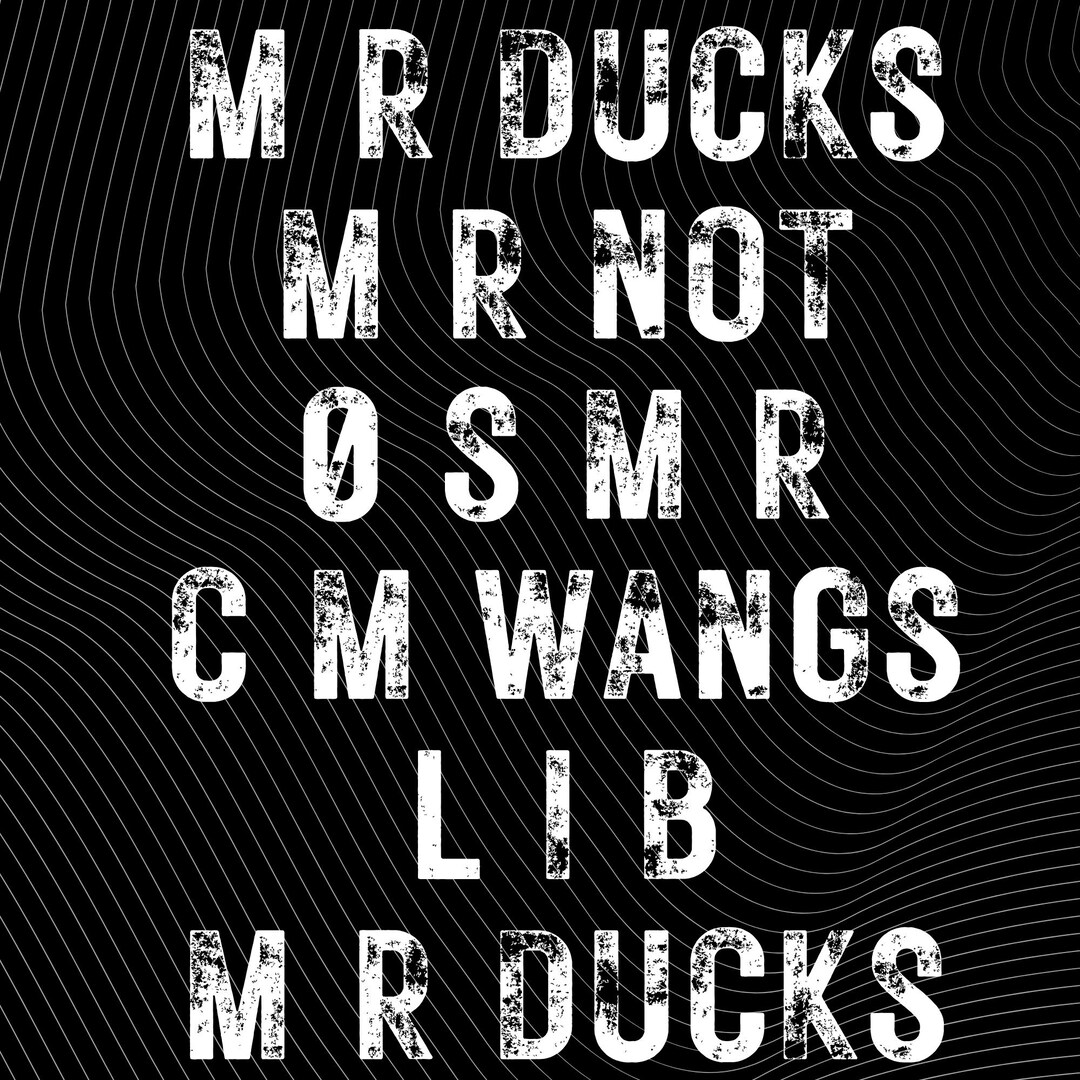 M R DUCKS PNG Funny Sarcastic - Etsy
