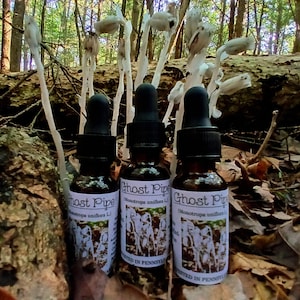 Ghost Pipe Tincture 2oz Monotropa Uniflora