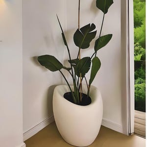 Pode incluir: Um vaso de cerâmica branco com um formato orgânico único, apresentando uma planta de ave do paraíso verde com folhas grandes.