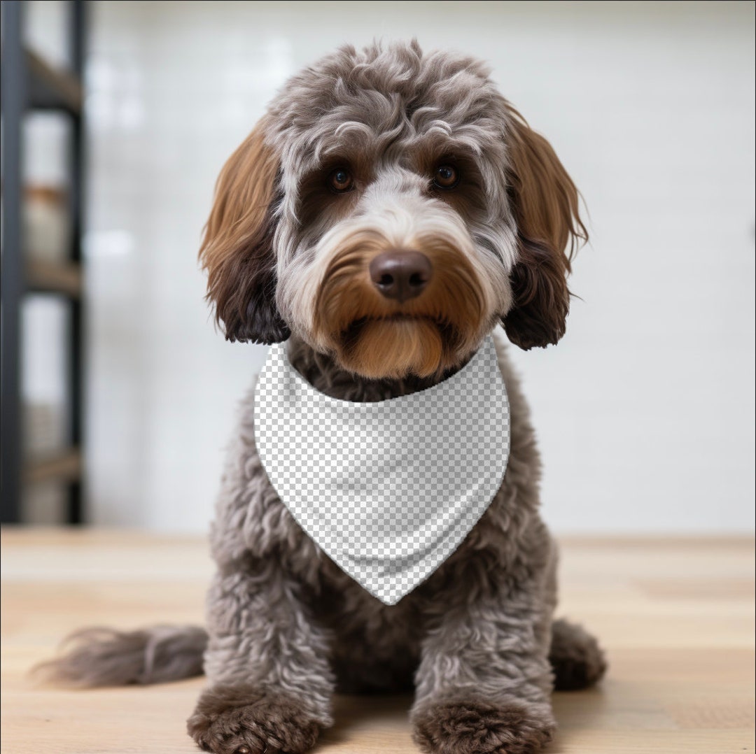 Canva Overlay Mock Up, Pet Bandana Mock Ups, Dog Bandana Mock Up, Canva