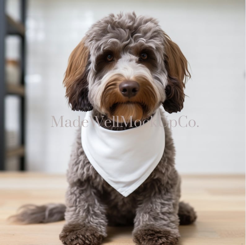 Canva Overlay Mock Up, Pet Bandana Mock Ups, Dog Bandana Mock Up, Canva