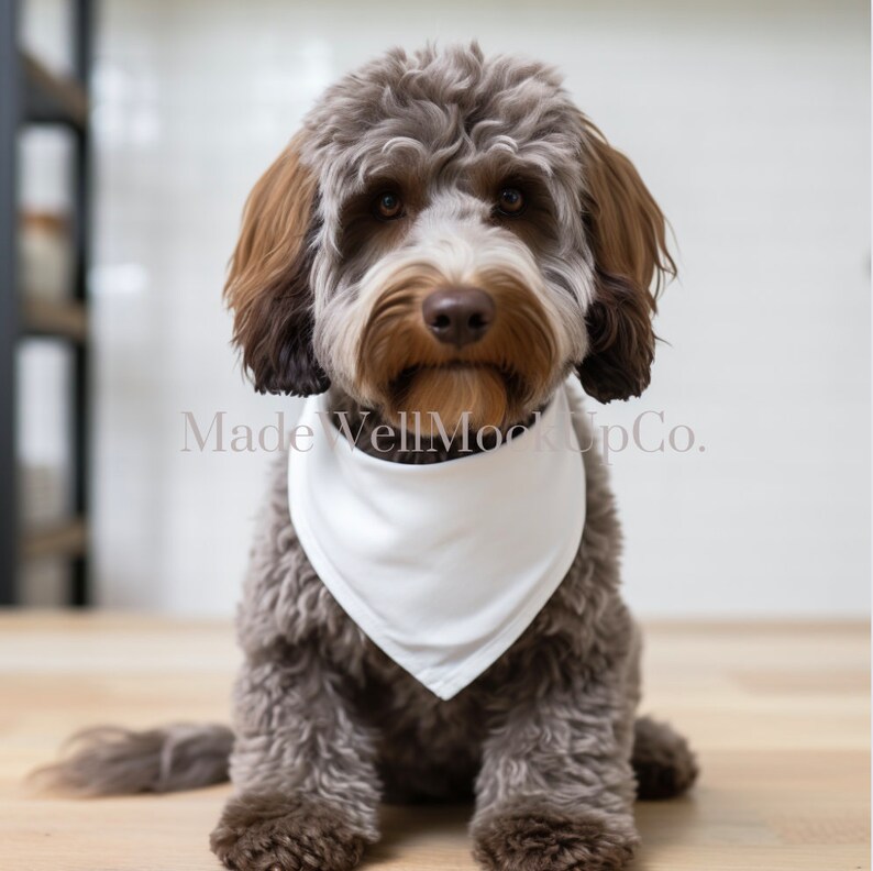 CSCHome Dog Bandanas Set With Cat Dog Cake Hat Dog Birthday Party Decorations For Small Medium Dogs Cats 53c22328 E19d 4f80 9bd1 720d68194e03.8c82c1b282e0a1918c44c83bd97f2ea4