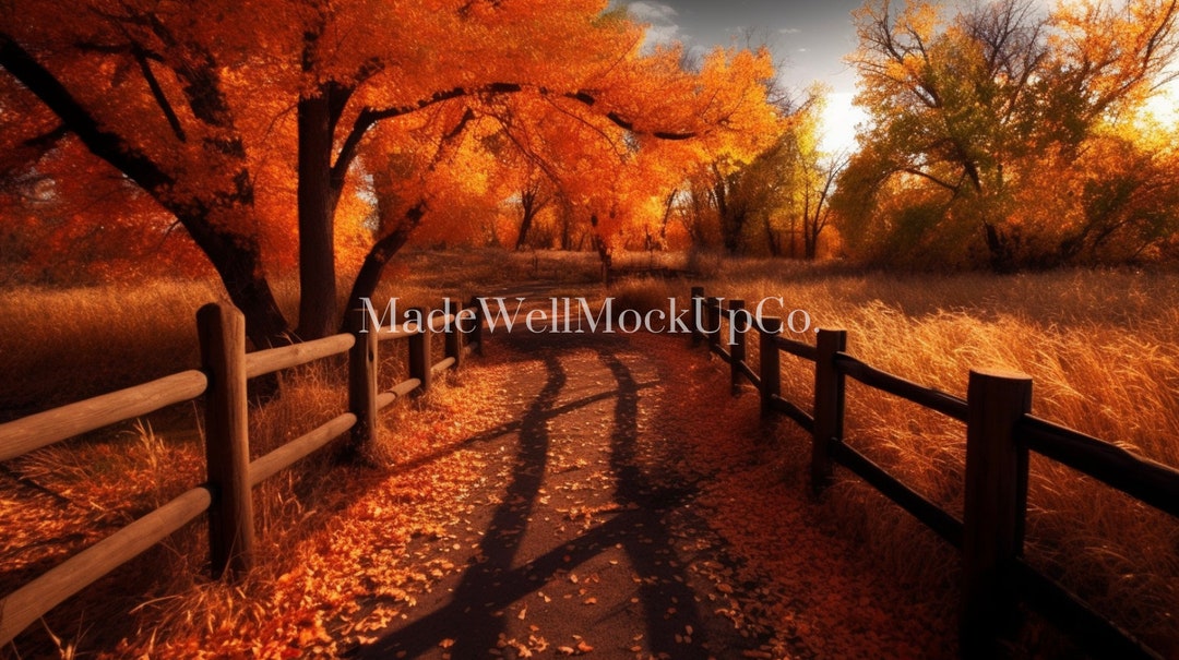 Zoom Background Fall Zoom Backgrounds Zoom Back Zoom Etsy