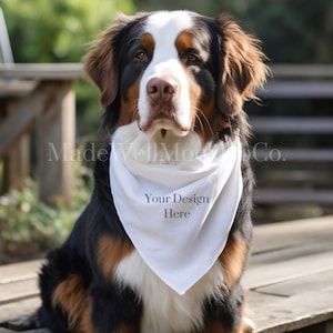 PSD Smart Objekt Mockup, PSD Haustier Bandana Mock Ups, Hundehalstuch Mock Up, Hundehalstuch, Hundehalstuch Mockup, Smart Objekt Hundehalstuch, Haustier Mock
