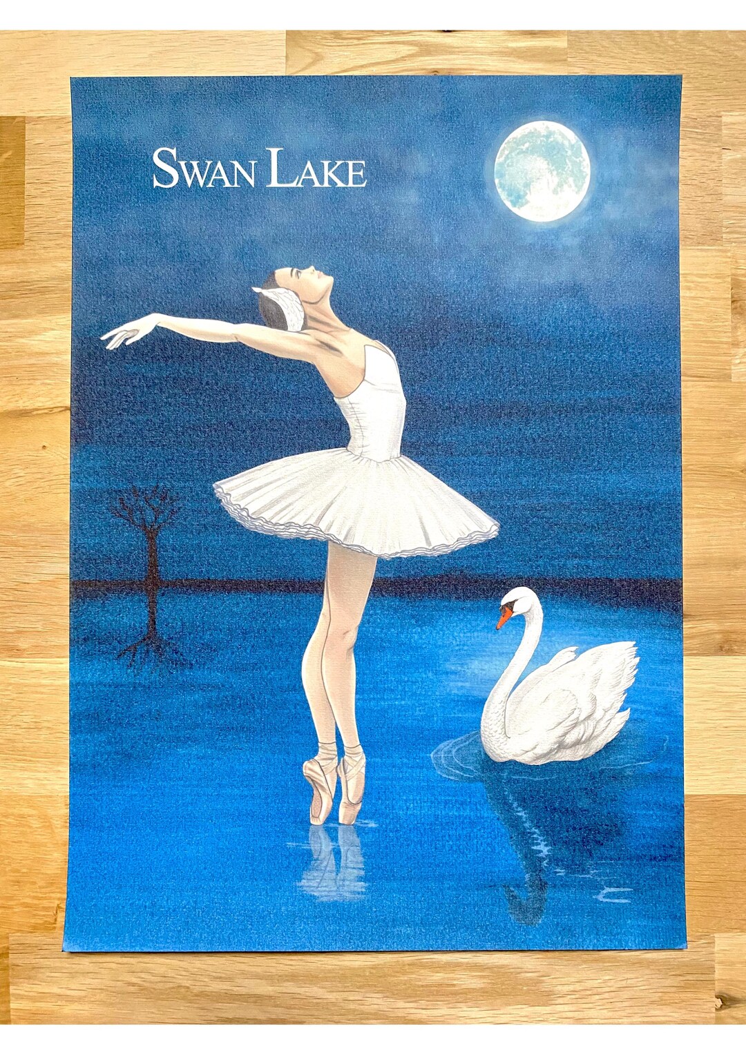 A3 Art Print Swan Lake Ballet Dance Handmade Illustration Art Print - Etsy