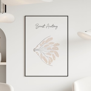 Brustanatomie Illustration, Brustbild Poster, Stillplanerin Bürodeko, Obgyn Wandkunst, Milchdrüse Poster, Doula Geschenk, Hebamme Geschenk