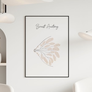 Breast Anatomy Art Print, Mammary Poster, Lactation Consultant Office Decor, Obgyn Wall Art, Mammary Gland Print, Doula Gift, Midwife Gift