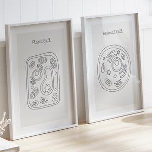Animal and Plant Cell Structure Prints Set of 2, Minimalist Biology Wall Art, Science Classroom Decor, Educational Poster, Digital Download