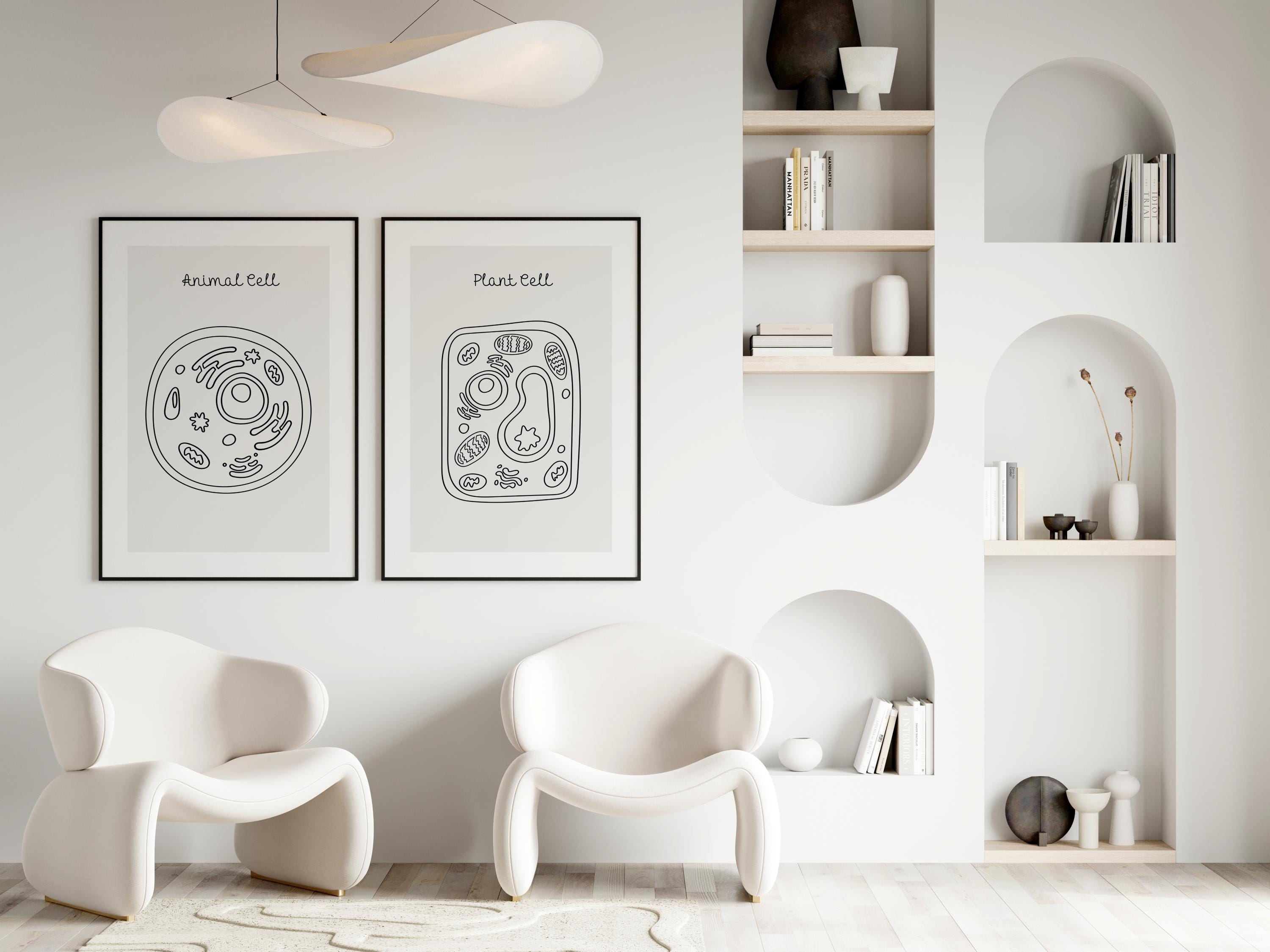 Animal and Plant Cell Structure Prints, Biology Classroom Decor ...