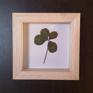Four Leaf Clover in Mini Frame