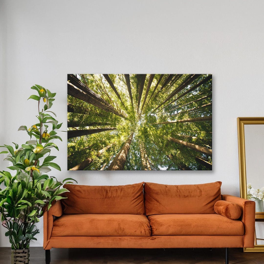 Forest Canopy Canvas Print: Majestic Green Tree Landscape Wall Art - Etsy