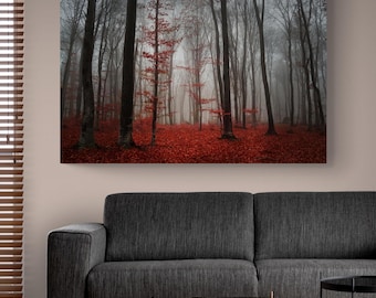 Autumn Forest Canvas Print: Red Leaf Carpet, Ready to Hang