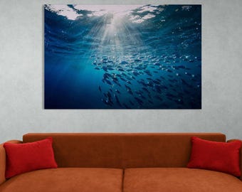 Underwater Fish School Canvas for Bold Decor Ready to Hang Art