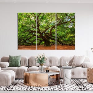 Majestic Angel Oak Tree Canvas Print: Elegant Wall Art image 3