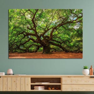 Majestic Angel Oak Tree Canvas Print: Elegant Wall Art image 2