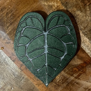 Anthurium Clarinervium 3D Gedruckte Griffe für Ikea Schrank