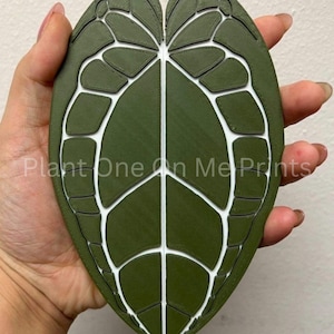 May include: A green leaf with white veins, printed on a flat surface. The leaf is shaped like a heart and has a detailed design.
