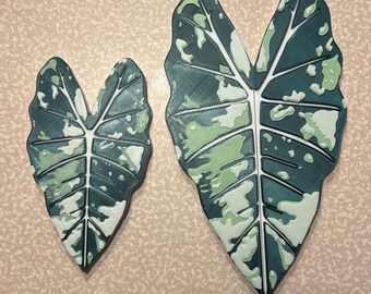 Variegated Alocasia Frydek 3D Printed Handles for Ikea Cabinet - Etsy