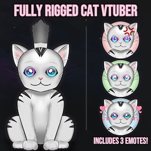 Live2d Cat VTuber! Fully Rigged