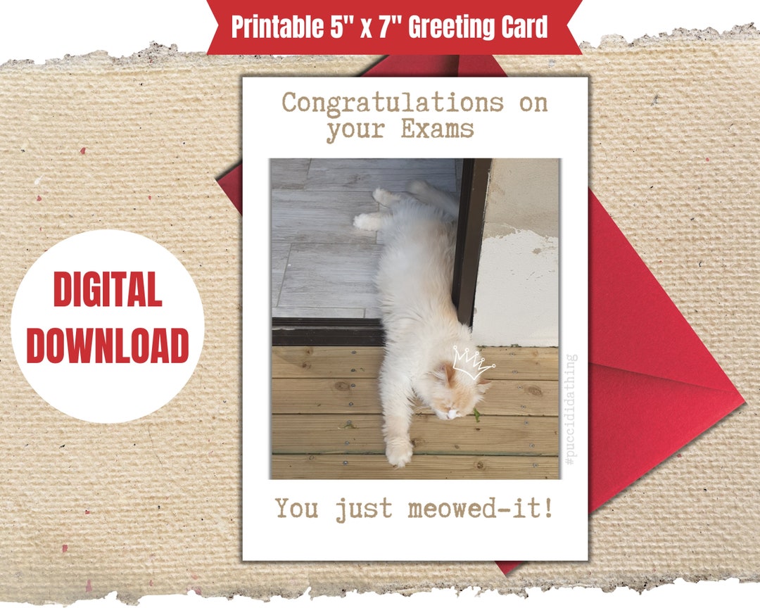PRINTABLE Funny CAT Greeting CARD &amp; Envelope Template, You Just Meowed ...