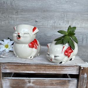 May include: Two white ceramic pig planters with red bows. The planter on the left has a closed mouth and the planter on the right has an open mouth. Both planters have black eyes and eyelashes. The planter on the right has a small green succulent plant inside.