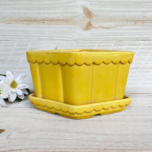 Może przedstawiać: Jasnożółta ceramiczna donica z falistym brzegiem i pasującym spodkiem. Kwadratowa donica ma pionowe rowki i stoi na jasnej drewnianej powierzchni. Biały kwiat jest widoczny po lewej stronie obrazu.