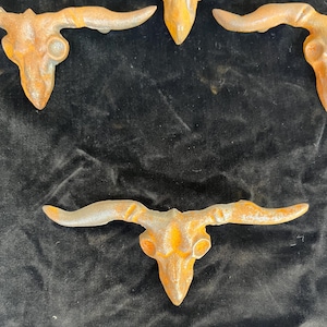 May include: Four rustic, orange-brown, cast iron bull skull drawer pulls with horns. The pulls are on a black velvet background.